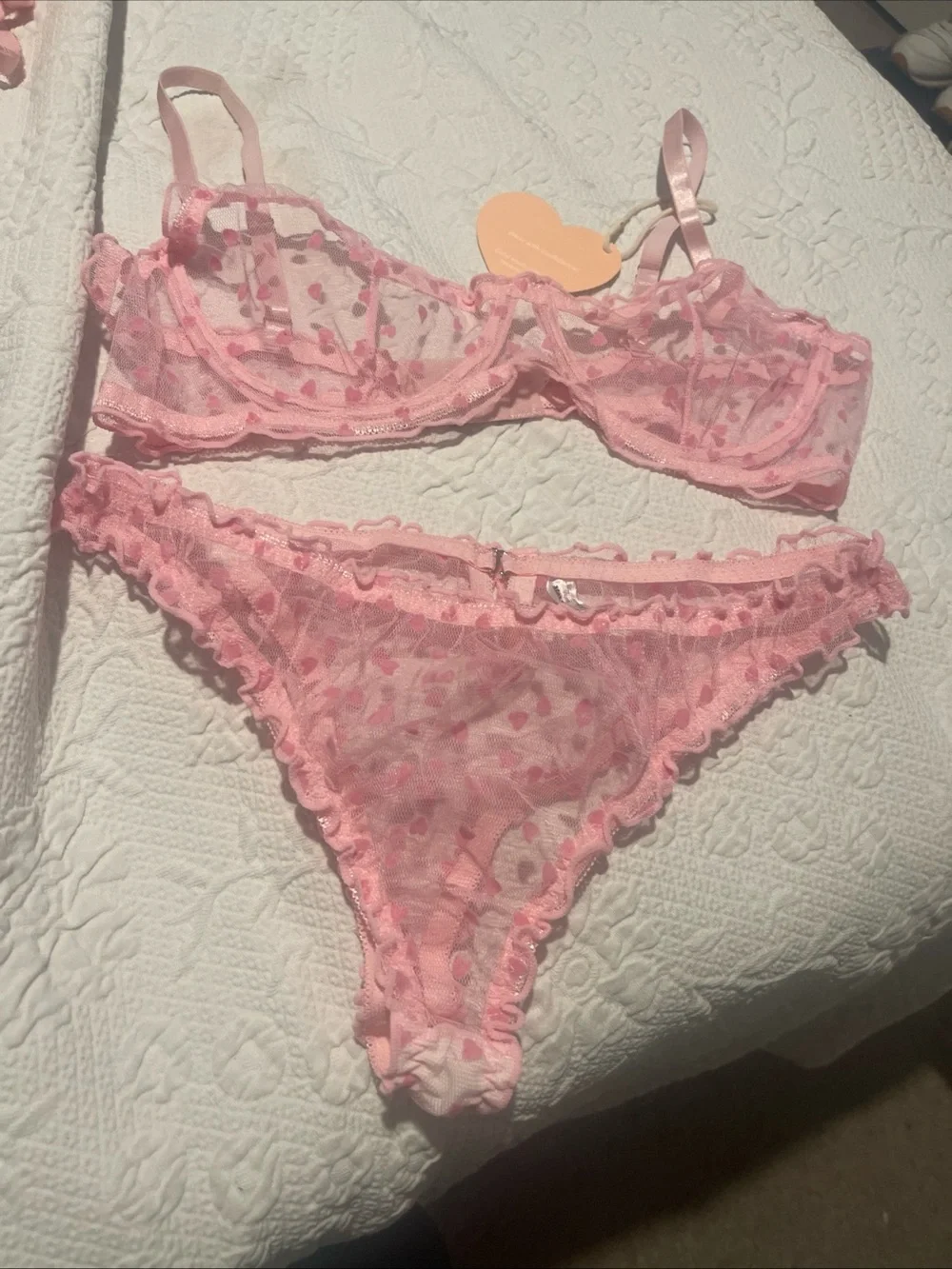 Sheer Pink Heart Lace Lingerie Set - Moxy Intimates M Hearts & Ruffles. Underwir